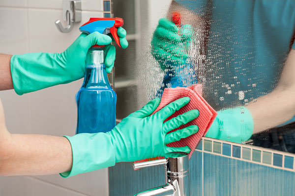 Bathroom Cleaning Bathroom Checklist
