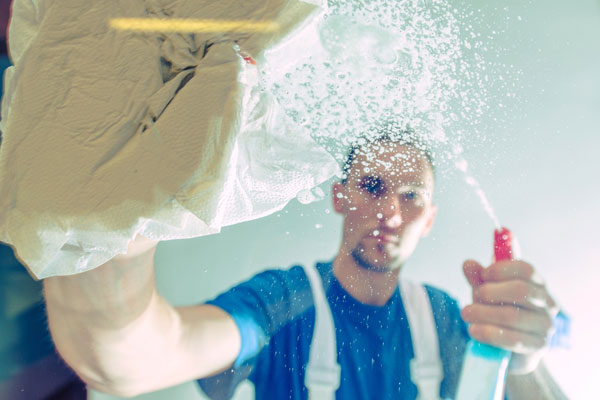 Glass Cleaning Other Living Areas Checklist